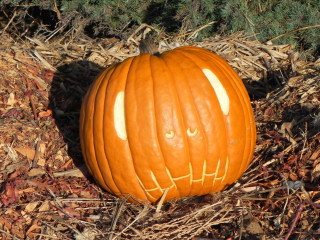 Pumpkin 2, Nipomo Pumpkin Patch best carving idea